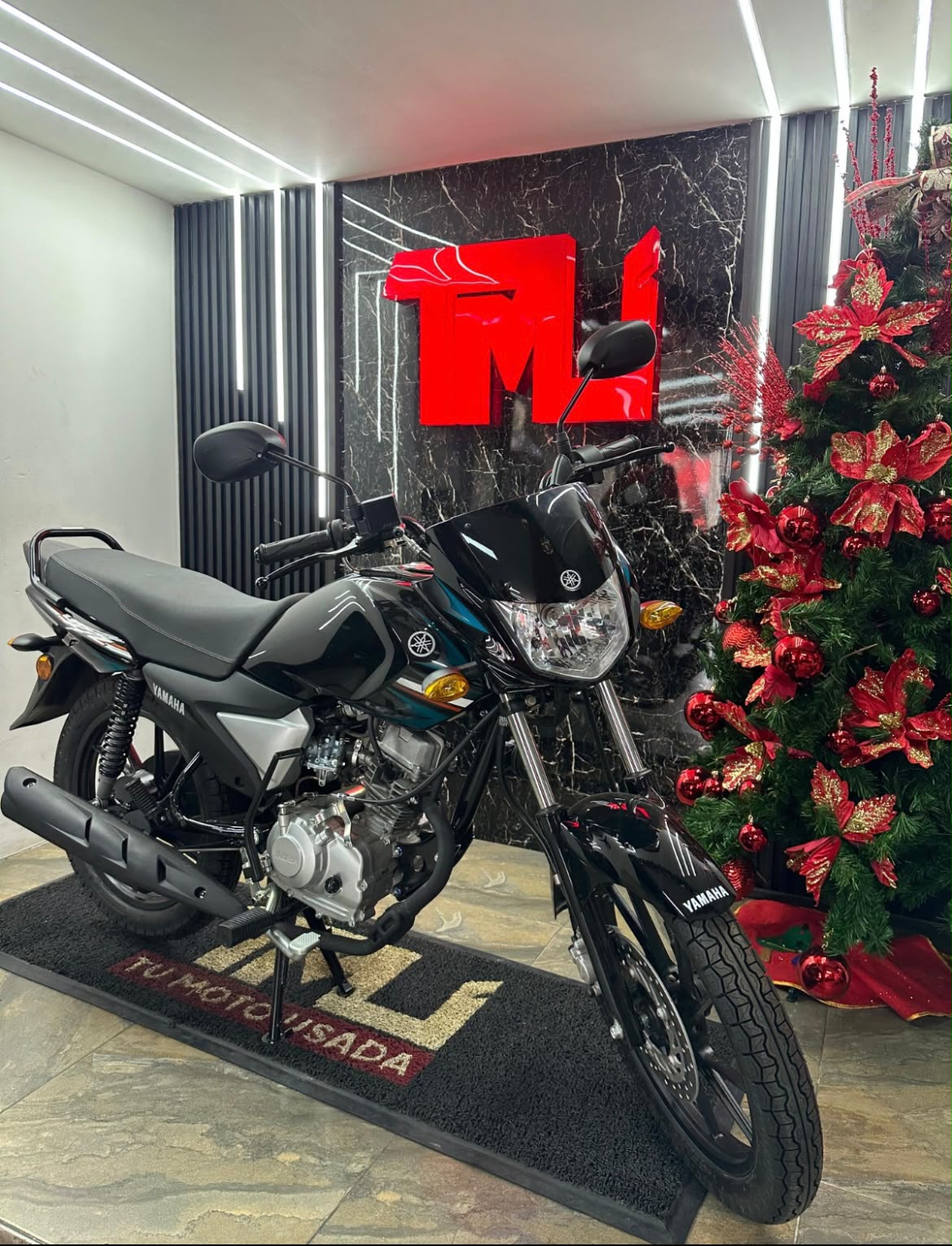 YCZ 110 NUEVA