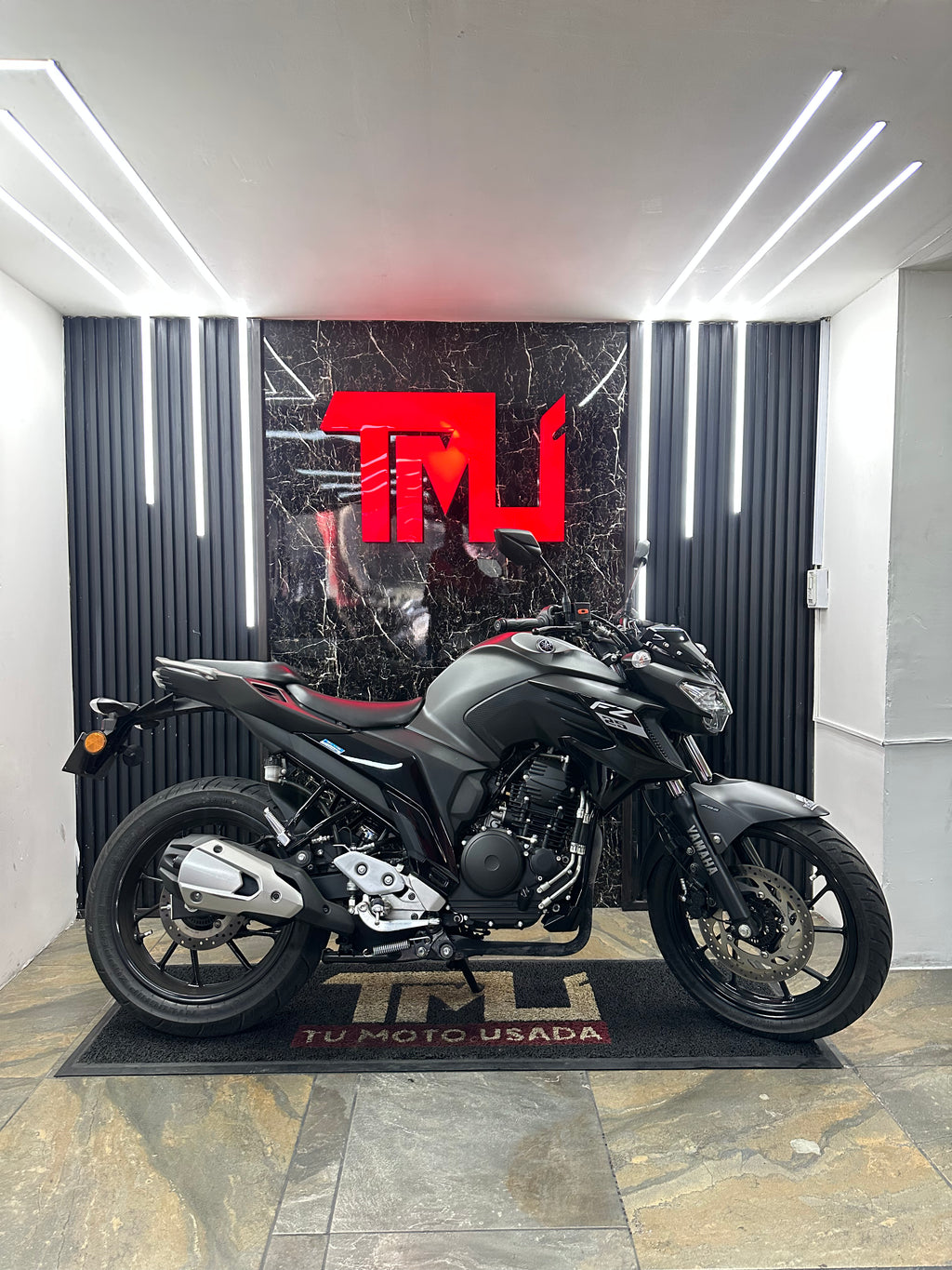 FZ 250 ABS