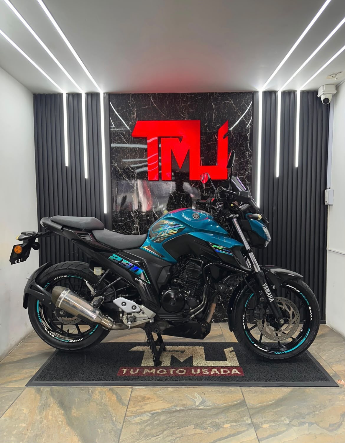 FZ 250