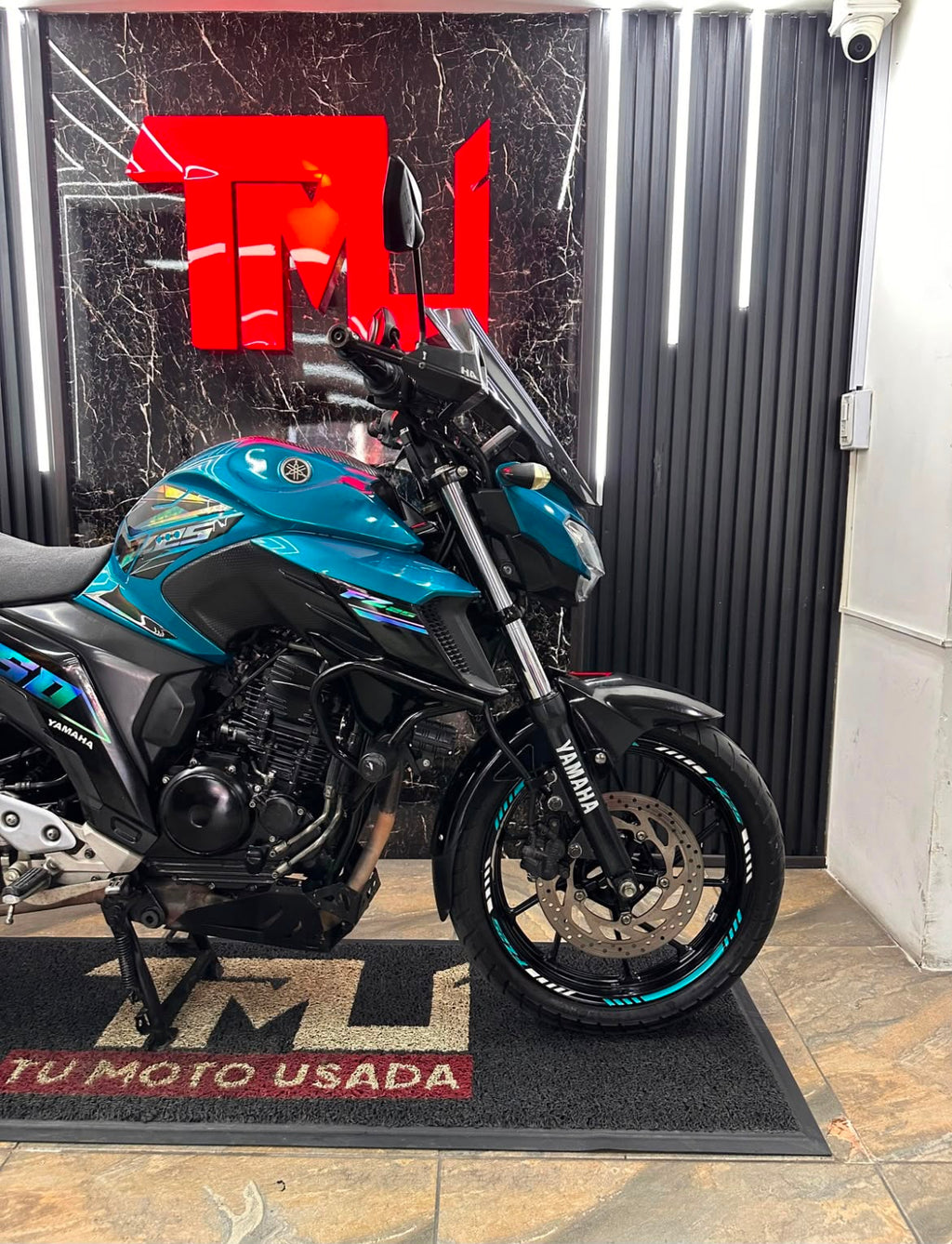 FZ 250