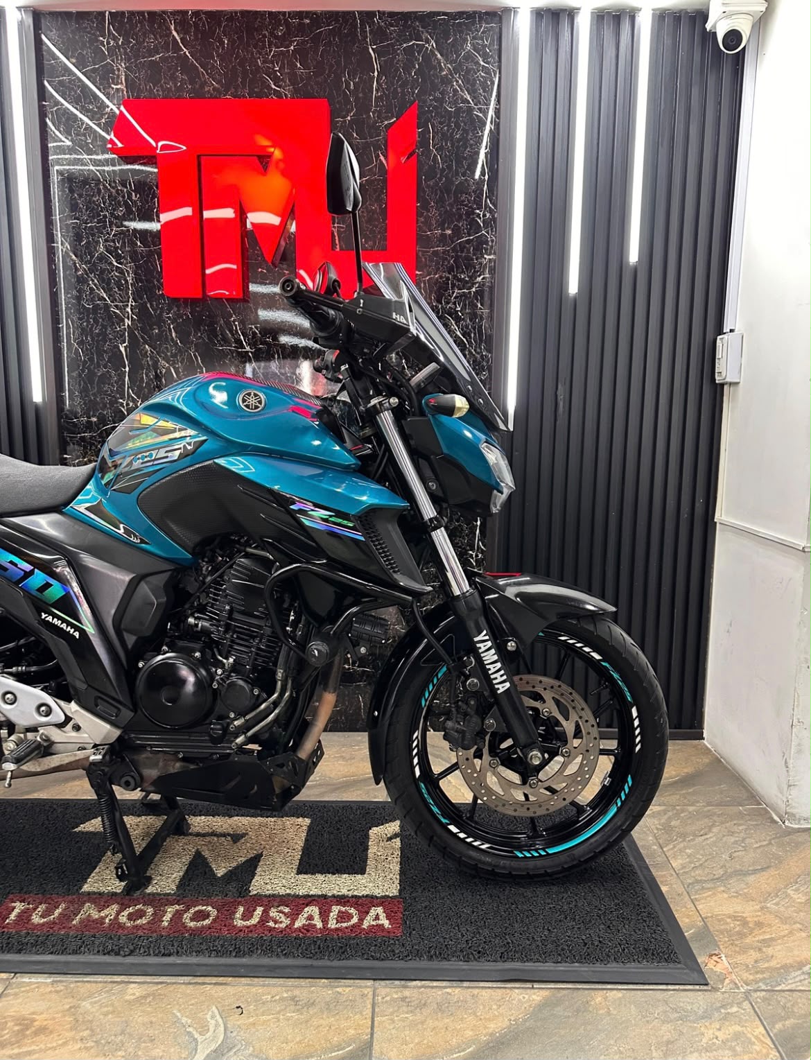 FZ 250