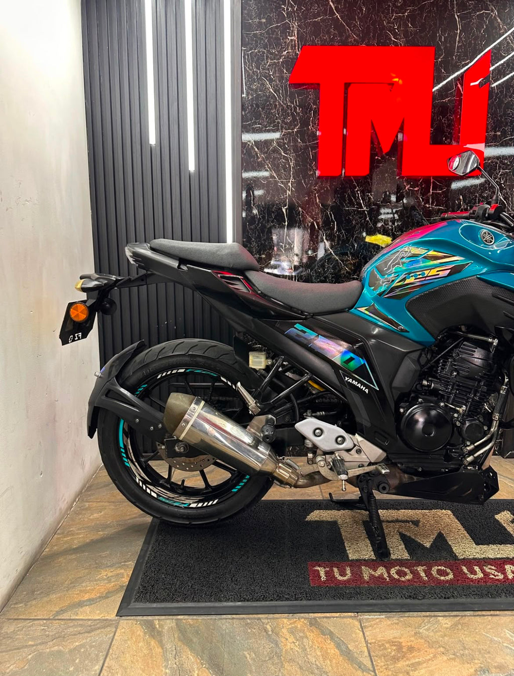 FZ 250
