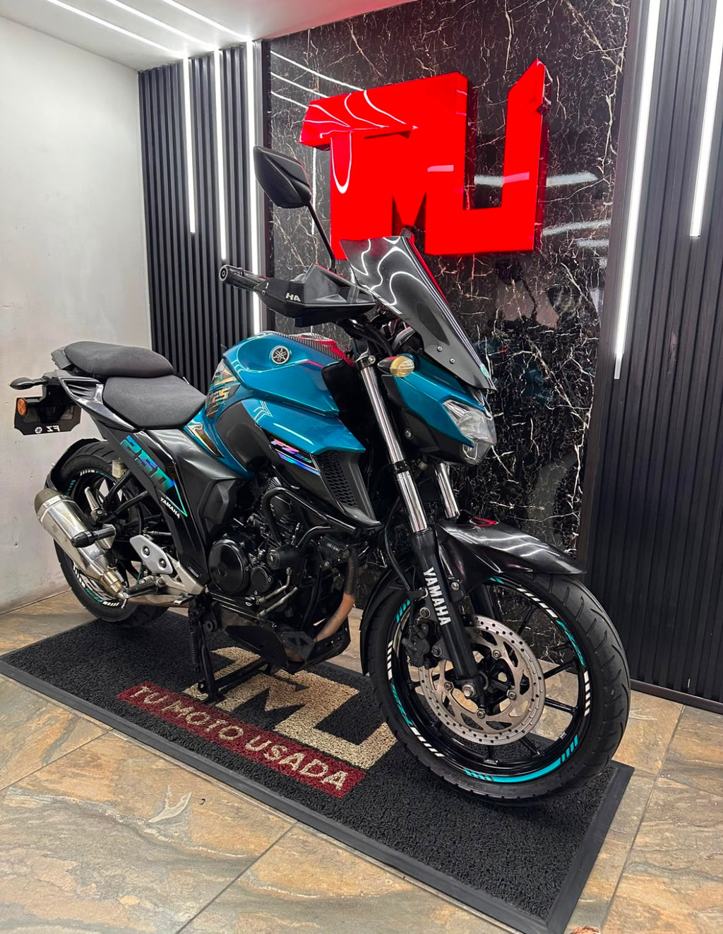 FZ 250