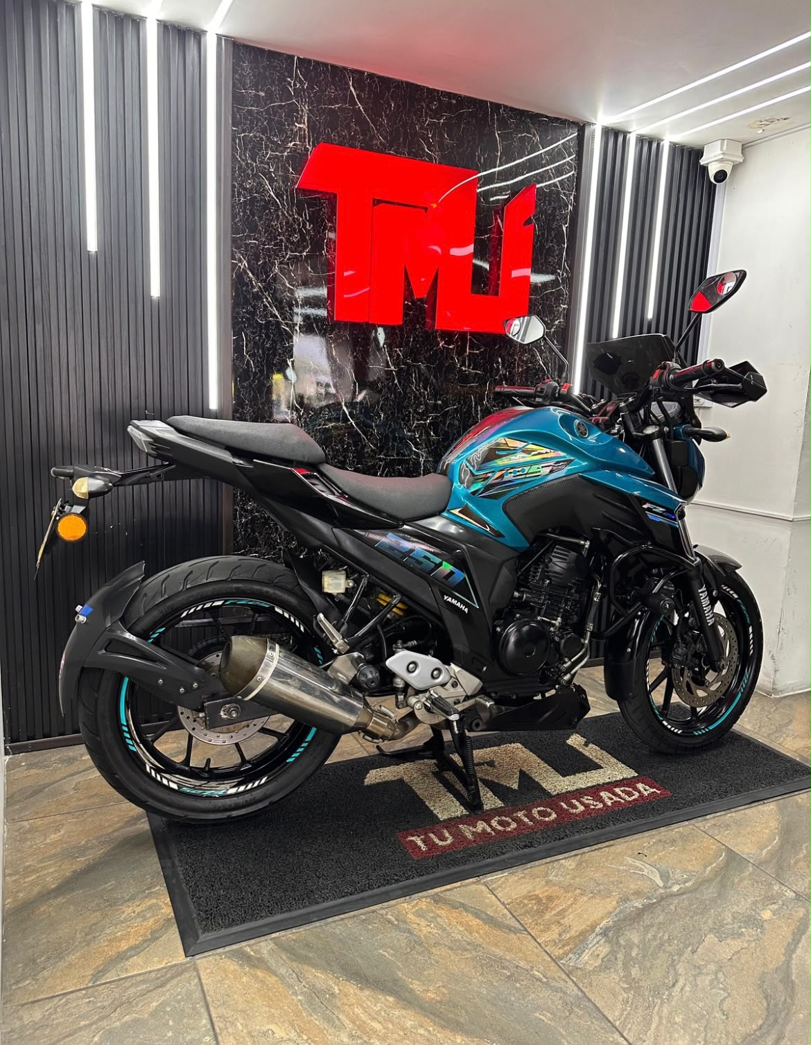 FZ 250