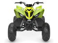 CUATRIMOTO RAPTOR 110
